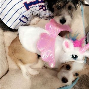 Meet your Posher, Jenifer